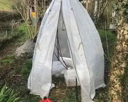 Photo of free Pop-up greenhouse/garden tent (Stoke St Milborough SY8) #1