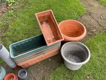 Photo of free Plastic plant pots /planters (Wrexham Technology Park LL11) #4