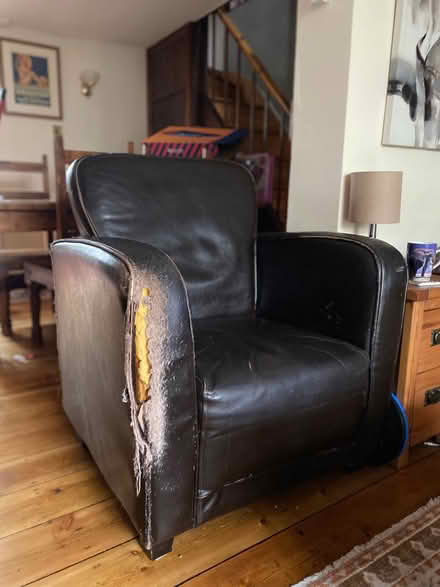 Photo of free Armchair (West Hill BN1) #1