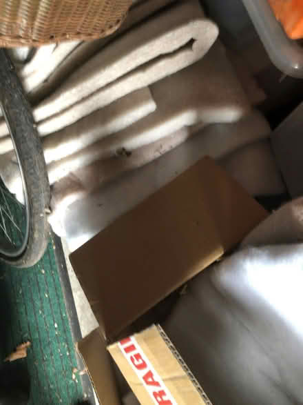 Photo of free Pieces of fibre padding (Goldenacre EH5) #1