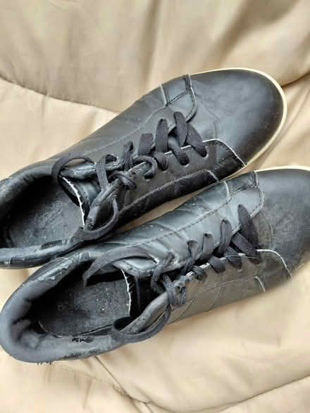 Photo of free Mens old trainers.size43 (Canning town E16) #3