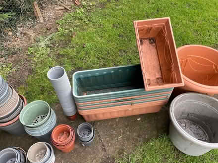 Photo of free Plastic plant pots /planters (Wrexham Technology Park LL11) #3
