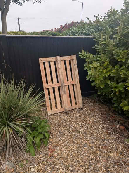Photo of free 2x pallets (1 with sides) (North Town SL6) #2