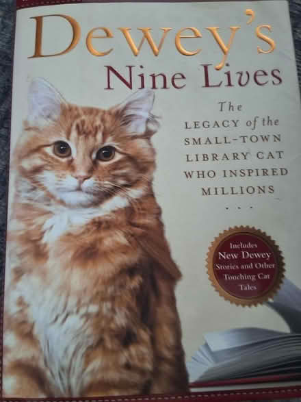 Photo of free Book: Dewey's Nine Lives (Redlands) #1