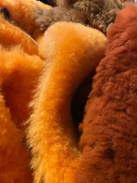 Photo of free Large bundle of sheepskin offcuts (Lightpill GL5) #2