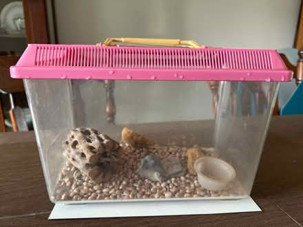 Photo of free Pet habitat (North side) #1