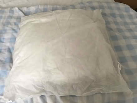 Photo of free Cushion pads (Off Woodbridge road IP4) #2