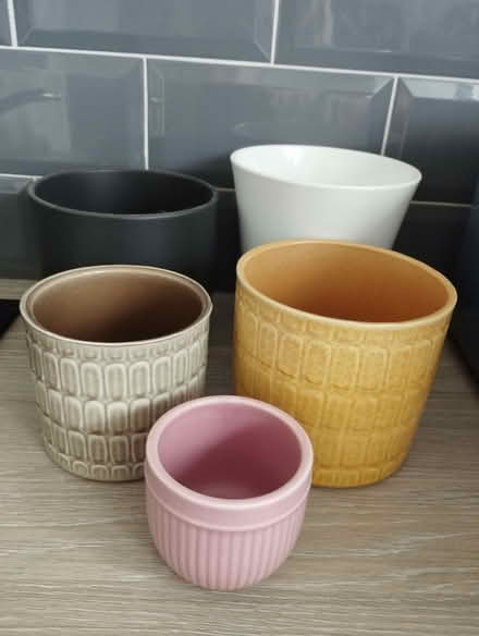 Photo of free Plant Pots (CO7) #1