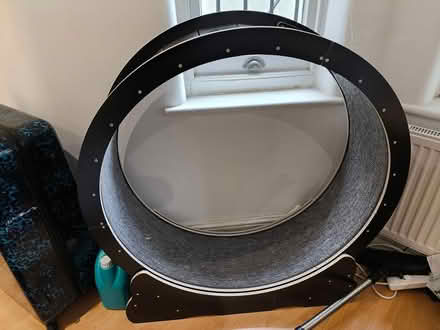 Photo of free Cat Wheel (New Cross, SE14) #1