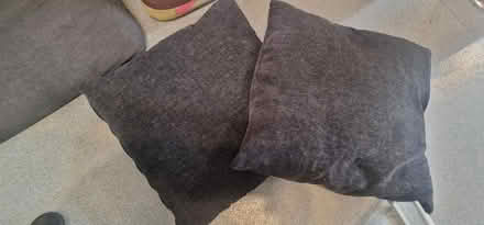 Photo of free Large cushions (Homerton E9) #1