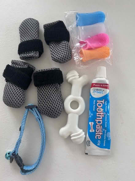 Photo of free Stuff for cats (BR5) #1