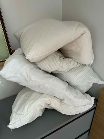 Photo of free Pillows (Dalkeith) #1