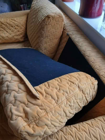 Photo of free Two seater settee-gold coloured (Abingdon OX14) #1