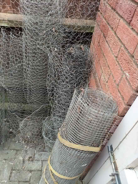 Photo of free Chicken wire / mesh (Hatton Park, Wellingboro NN8) #2