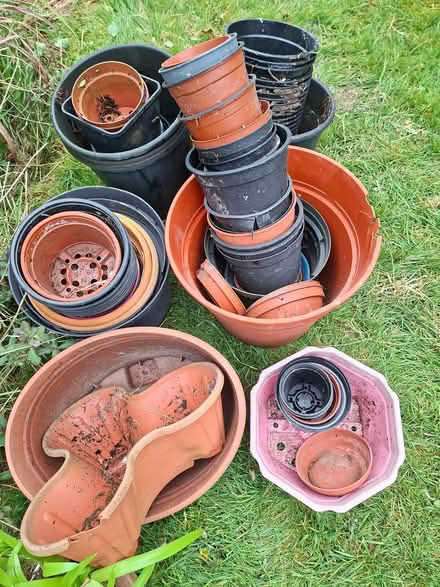 Photo of free Flower pots (Tramore, Co.Waterford) #1