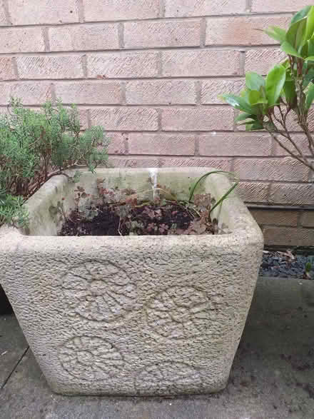 Photo of free 2 stone pots (quedgeley) #1