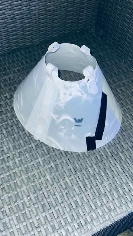 Photo of free Two Dog Cones (Worle BS22) #2