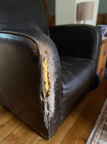 Photo of free Armchair (West Hill BN1) #2