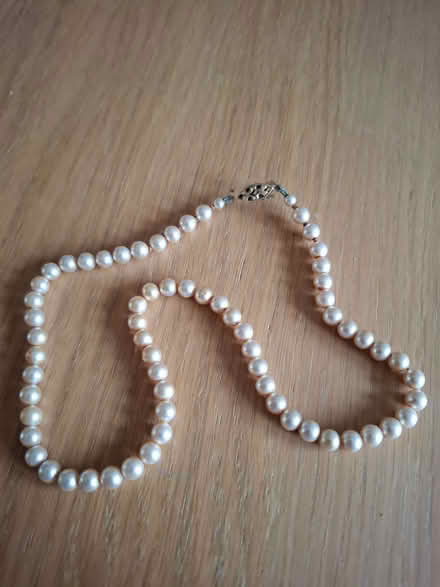 Photo of free Costume Jewellery (Strelley NG8) #1