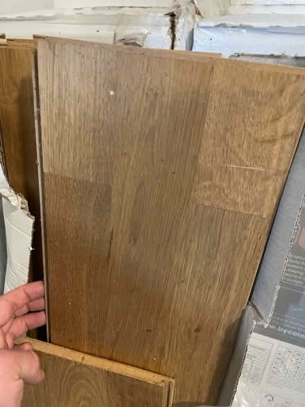 Photo of free Real wood top layer oak laminate (Dursley GL11) #3