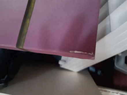 Photo of free Allium Canvas (Dublin 12) #2