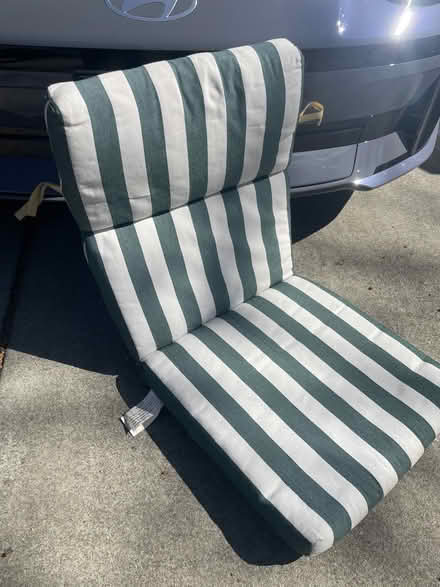 Photo of free Green striped lounge cushions (Alameda) #2