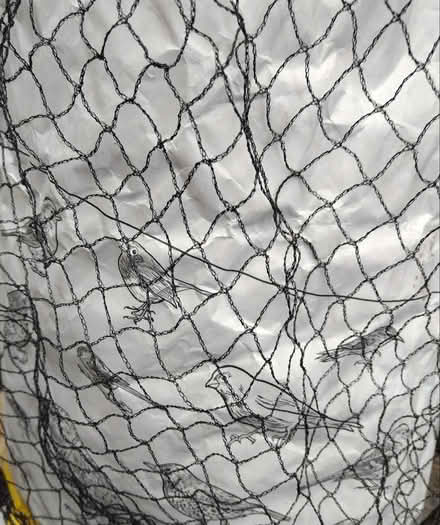 Photo of free Netting for garden plants etc (ST5 8) #1