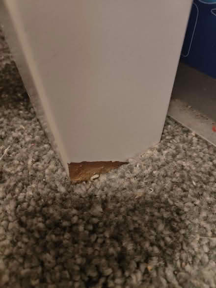 Photo of free Single bed with mattress (Ormskirk L39) #4