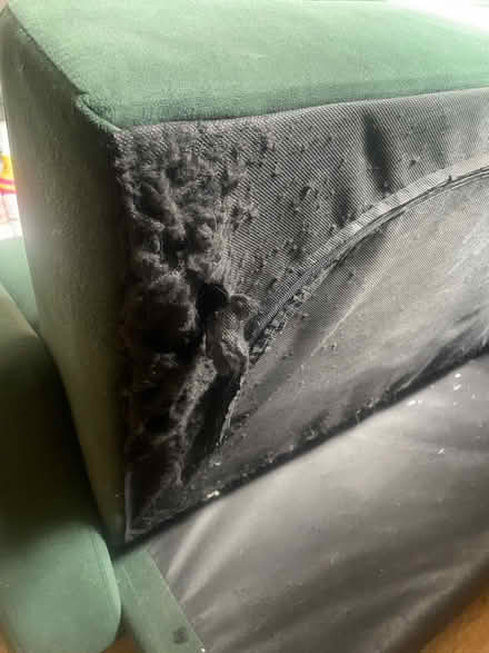 Photo of free Small green sofa bed 2 chairs (Cricket Road OX4) #4