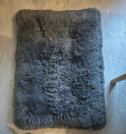 Photo of free Pet beds x2 (Rowsham HP22) #1