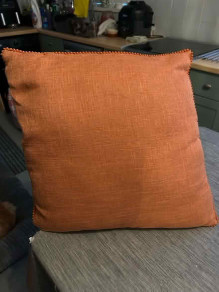 Photo of free Cushion (Rowsham HP22) #1