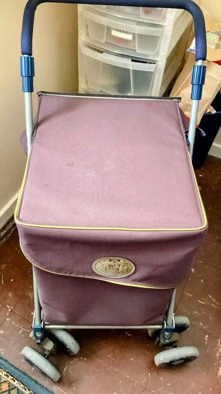 Photo of free Shopping Trolley (Buckland TQ12) #1