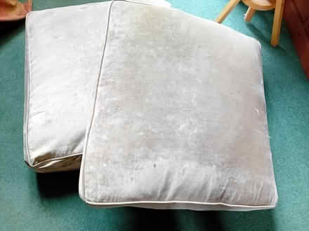 Photo of free Old sofa cushions (Woodmancote GL11) #1