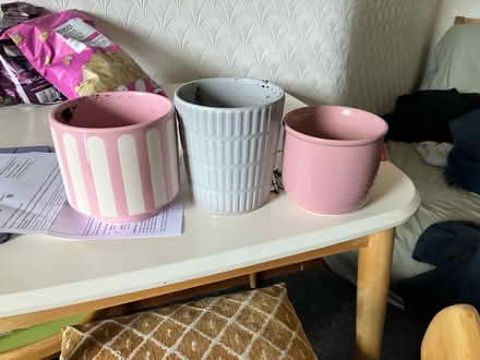 Photo of free Pots (Gorgie road EH11) #1