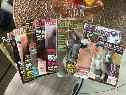 Photo of free Rabbit care magazines (Kinnerton LD8) #1