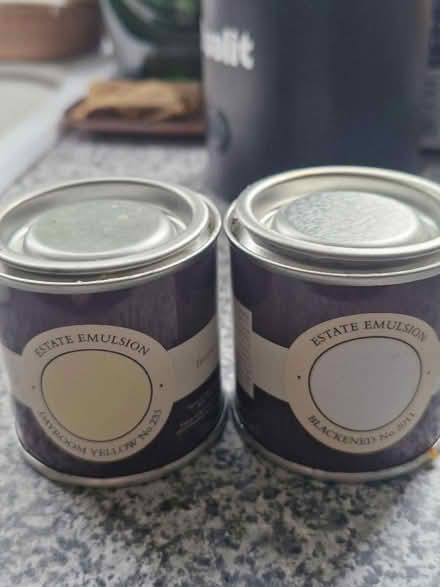 Photo of free Sample paint pots (Shirley CR0) #1