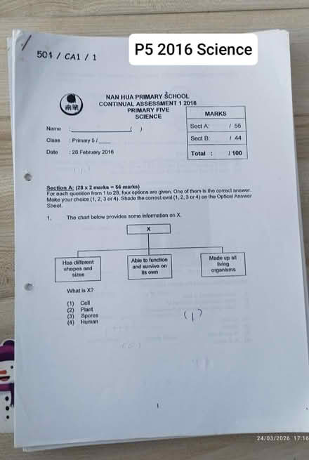 Photo of free P5 past year papers (Tpy) #1