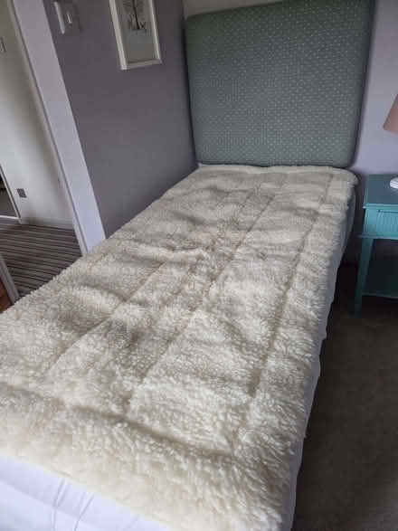 Photo of free Mattress topper (Freshford BA2) #1