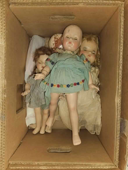Photo of free Antique Dolls (Greendale, Worcester) #1