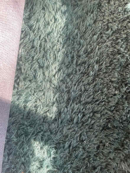 Photo of free Large green shag pile rug. (Rodwell DT4) #1