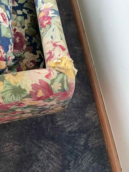 Photo of free Sofa bed (Penrith CA11) #2