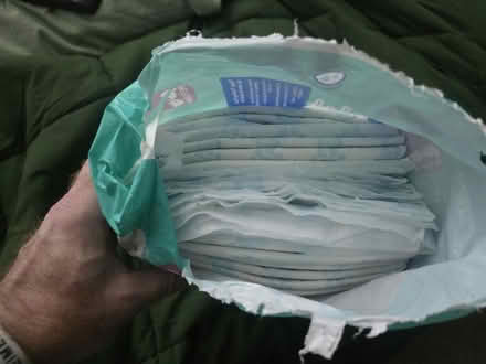 Photo of free Puppy pads (Chester CH1) #2