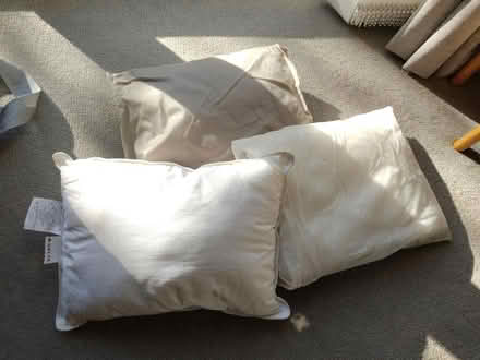 Photo of free Small pillows (Stanway, CO3) #1
