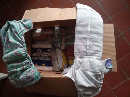 Photo of free reuseable nappies and liners (Nyetimber PO21) #1