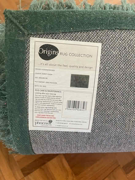 Photo of free Large green shag pile rug. (Rodwell DT4) #3