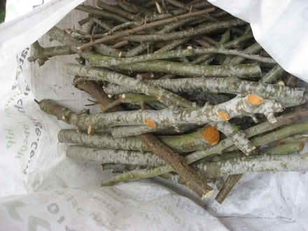 Photo of free Firewood (IP5) #1