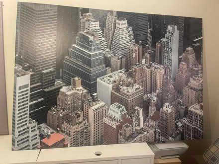 Photo of free Two Canvas Paintings (Firhouse) #2