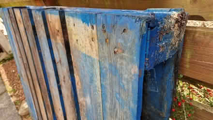 Photo of free Pallet (Bridge of Allan FK9) #3