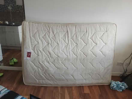 Photo of free King (Arle GL51) #1