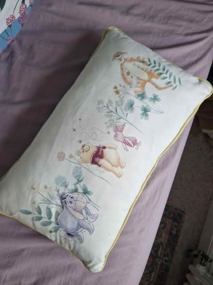 Photo of free Winnie the Pooh and friends cushion (BN2) #1